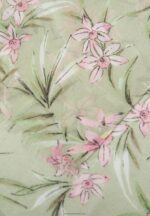 Z62T2842 Women Anna Field Foulard Green - Image 5