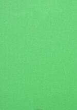 Z62T715 Women Anna Field Short Coat Green - Image 3